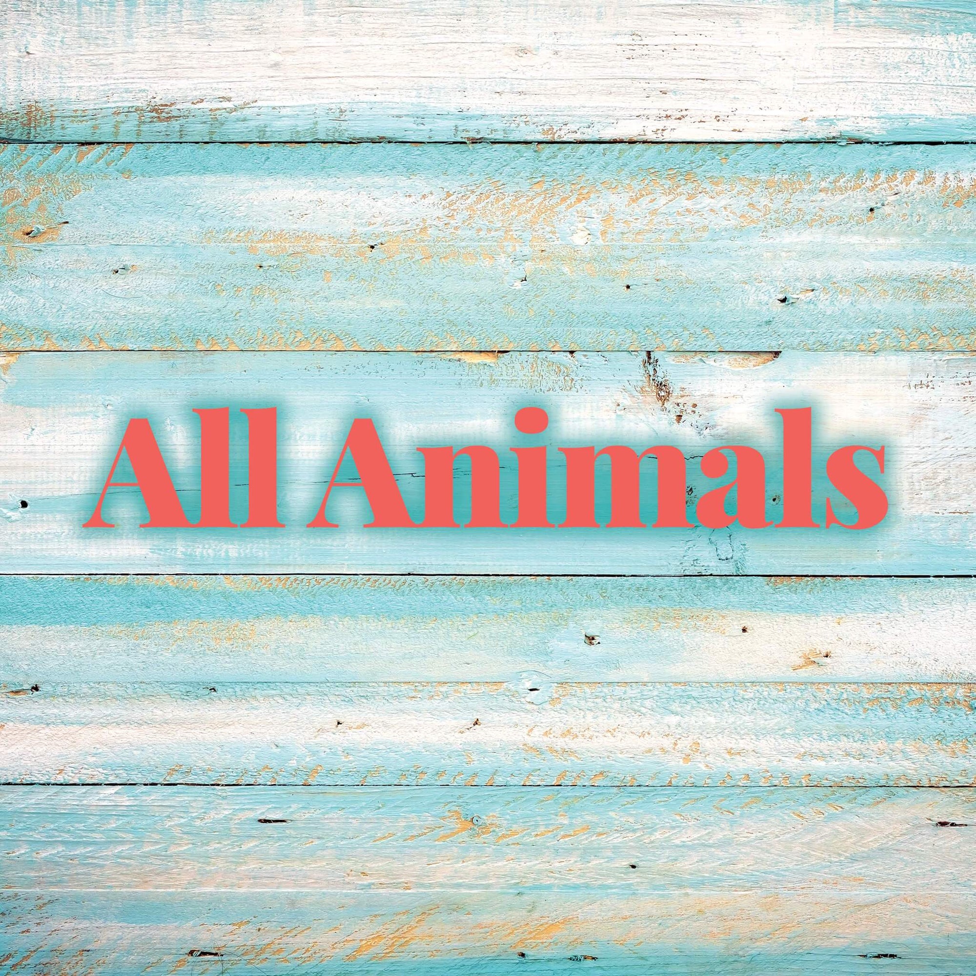 All Animals | Molly's! A Chic and Unique Boutique