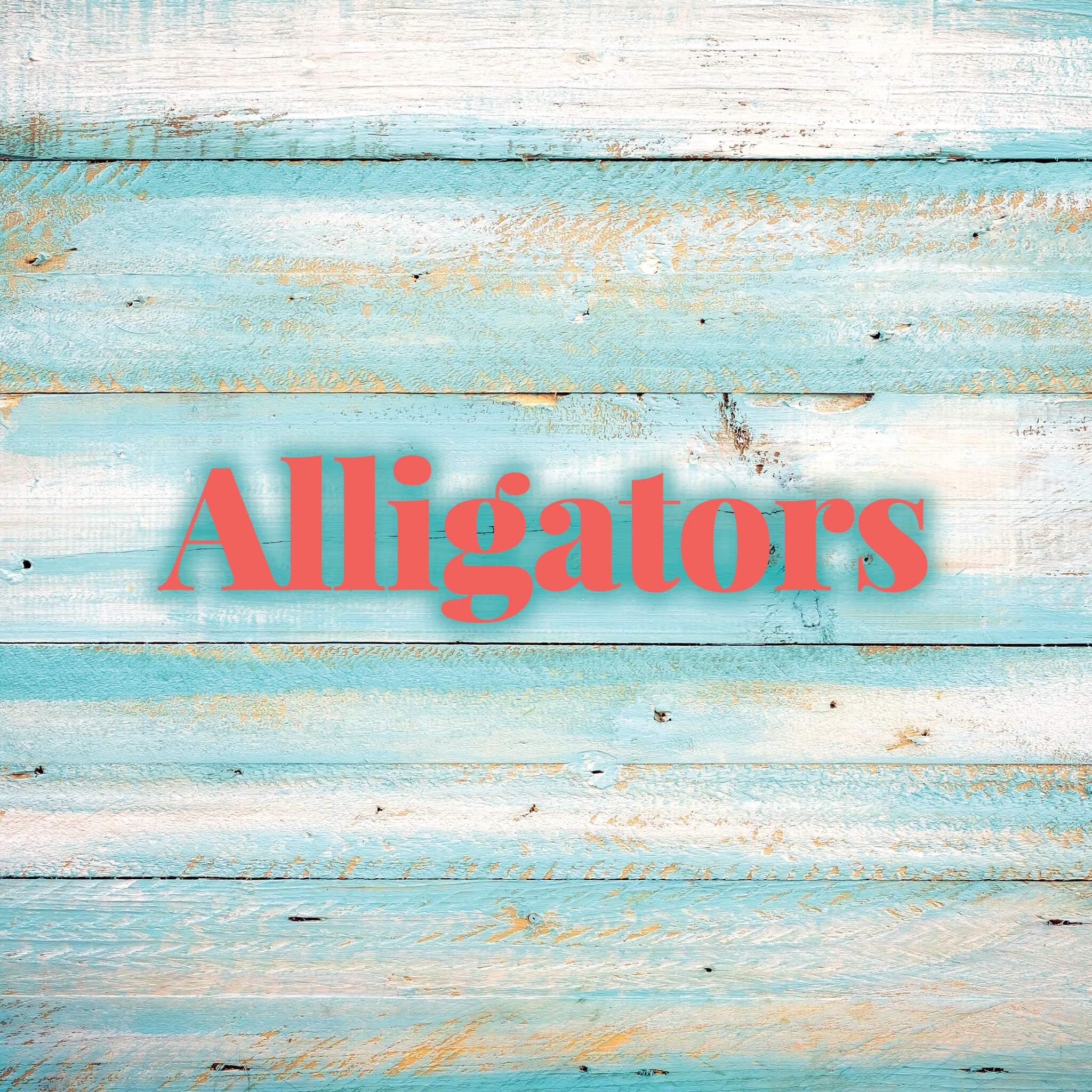 Alligators | Molly's! A Chic and Unique Boutique
