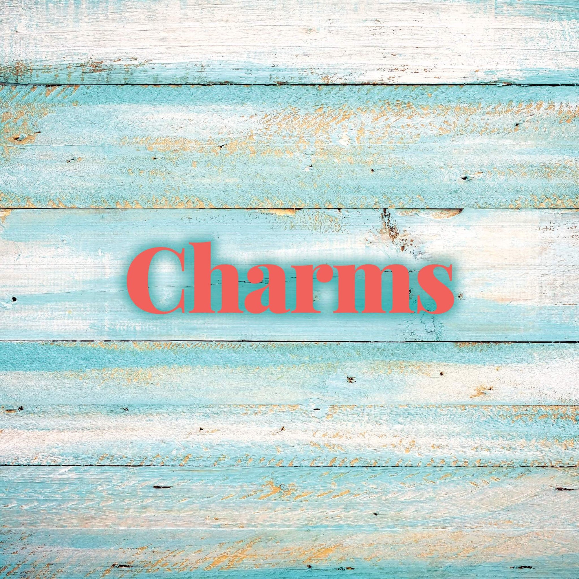 Charms | Molly's! A Chic and Unique Boutique