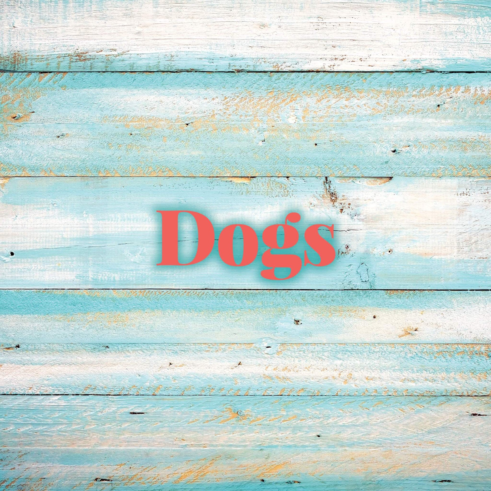 Dogs | Molly's! A Chic and Unique Boutique