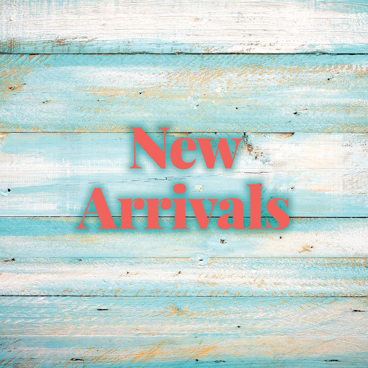 New Arrivals | Molly's! A Chic and Unique Boutique