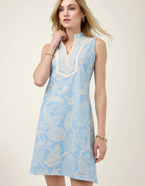 SLEEVELESS TUNIC DRESS- FLAGLER PODS SKY - Molly's! A Chic and Unique Boutique 