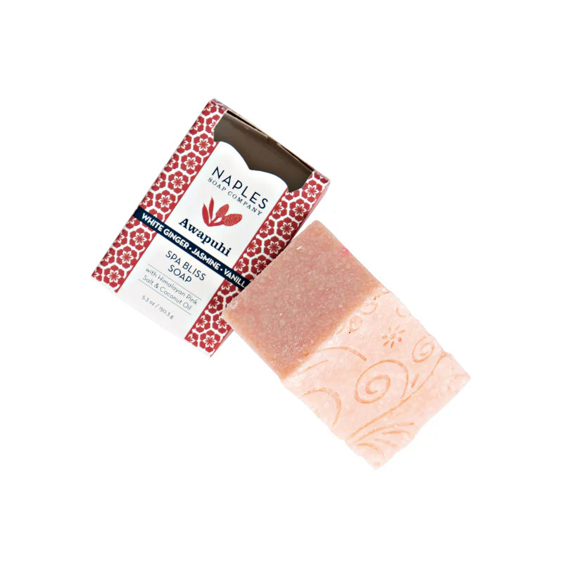 SPA BLISS SOAP *PREVIEW* - Molly's! A Chic and Unique Boutique 