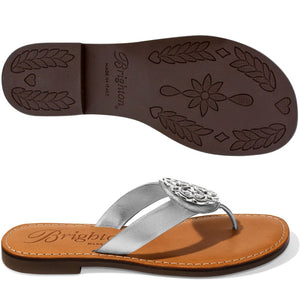 ALICE SILVER METALLIC SANDALS *PREVIEW* - Molly's! A Chic and Unique Boutique 