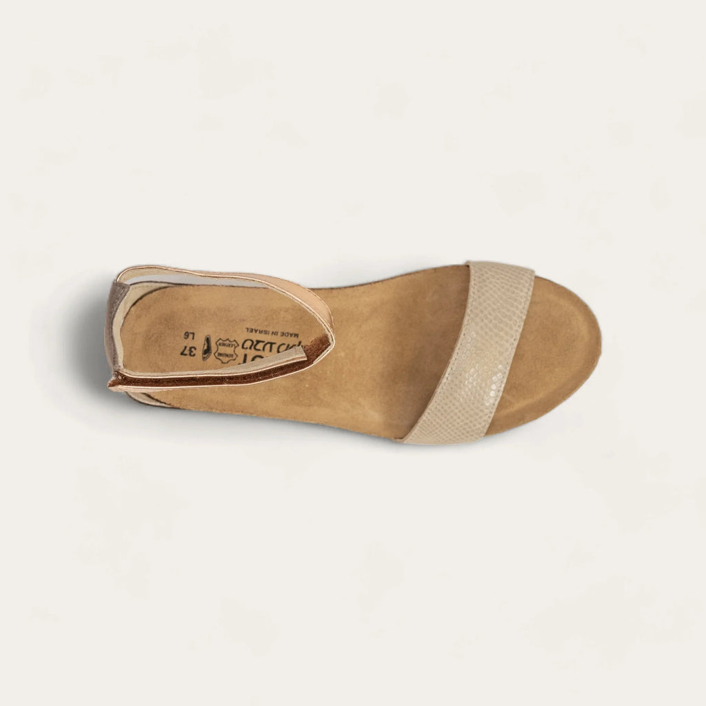 PIXIE LIZARD ROSE - Molly's! A Chic and Unique Boutique 