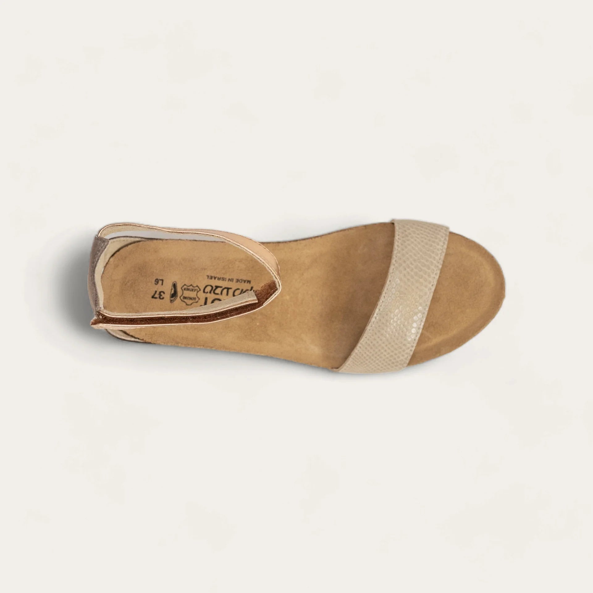 PIXIE LIZARD ROSE - Molly's! A Chic and Unique Boutique 