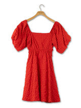 TEXTURED PUFF SLEEVE DRESS