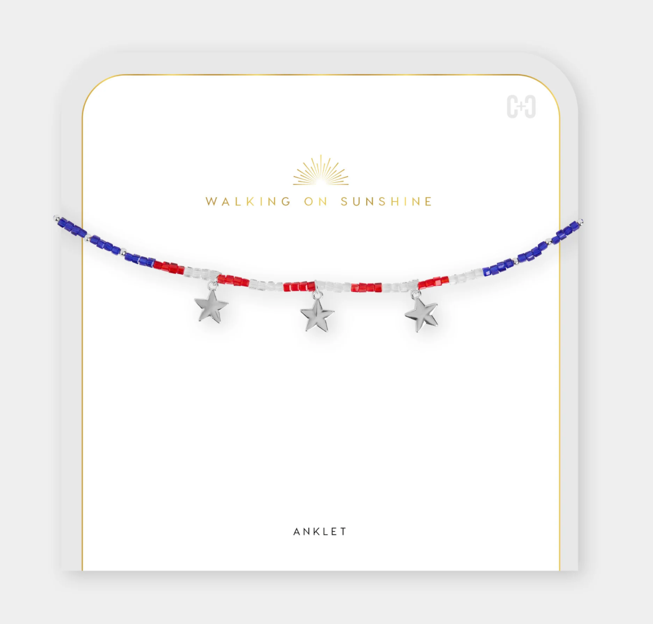 LENNY ANKLET - Molly's! A Chic and Unique Boutique 