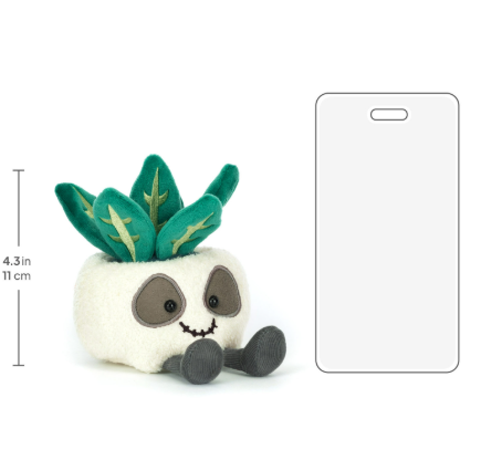 AMUSEABLES SKULL PLANTER - Molly's! A Chic and Unique Boutique 