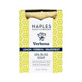 SPA BLISS SOAP *PREVIEW* - Molly's! A Chic and Unique Boutique 