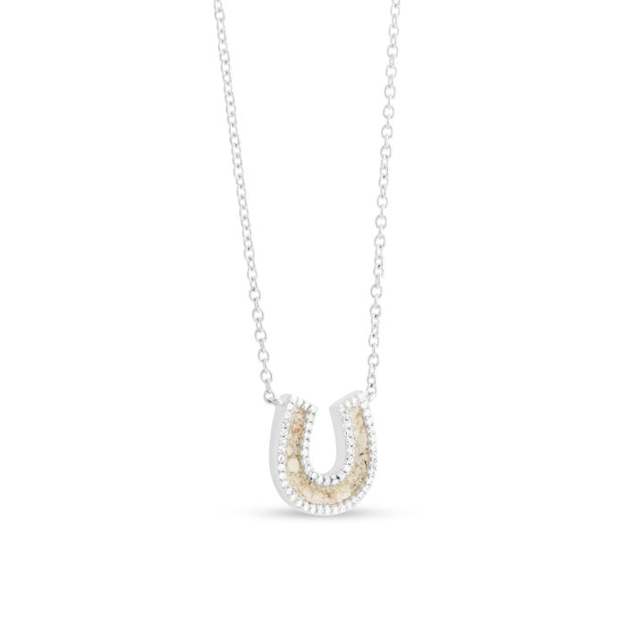 Horseshoe Stationary Necklace