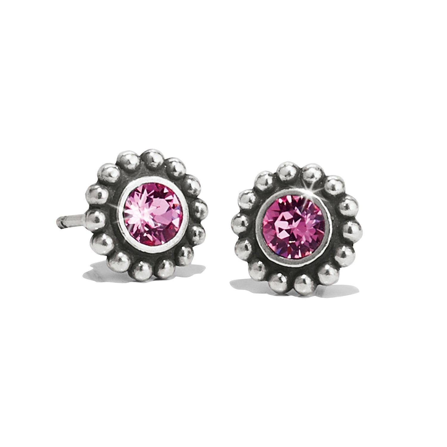 Twinkle Mini Post Earrings - Molly's! A Chic and Unique Boutique 