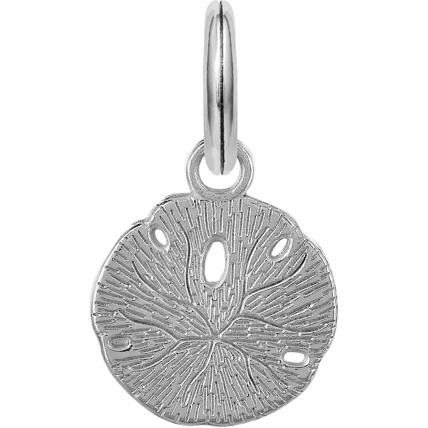 Sunny Sand Dollar Charm