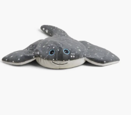 STINGRAY WARMIES *PREVIEW* - Molly's! A Chic and Unique Boutique 