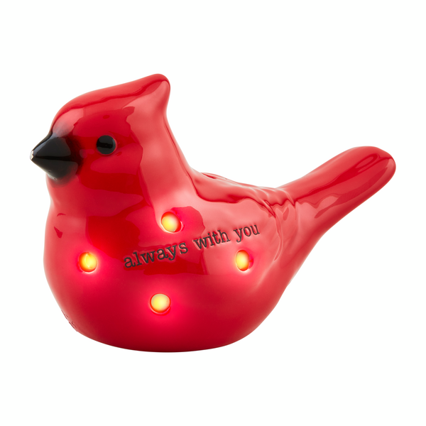 CARDINAL LIGHT-UP SITTER