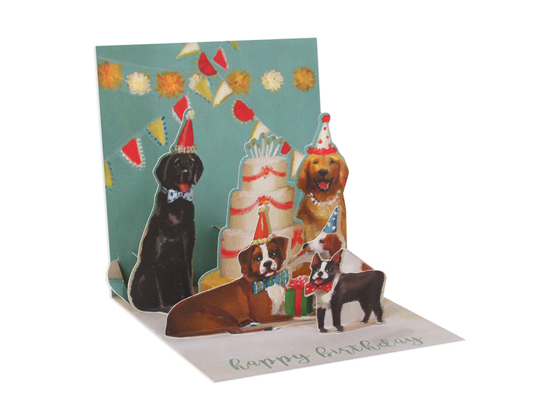 DOGS AND CAKE - Molly's! A Chic and Unique Boutique 