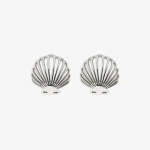 Delicate Shell Stud Earring - Molly's! A Chic and Unique Boutique 