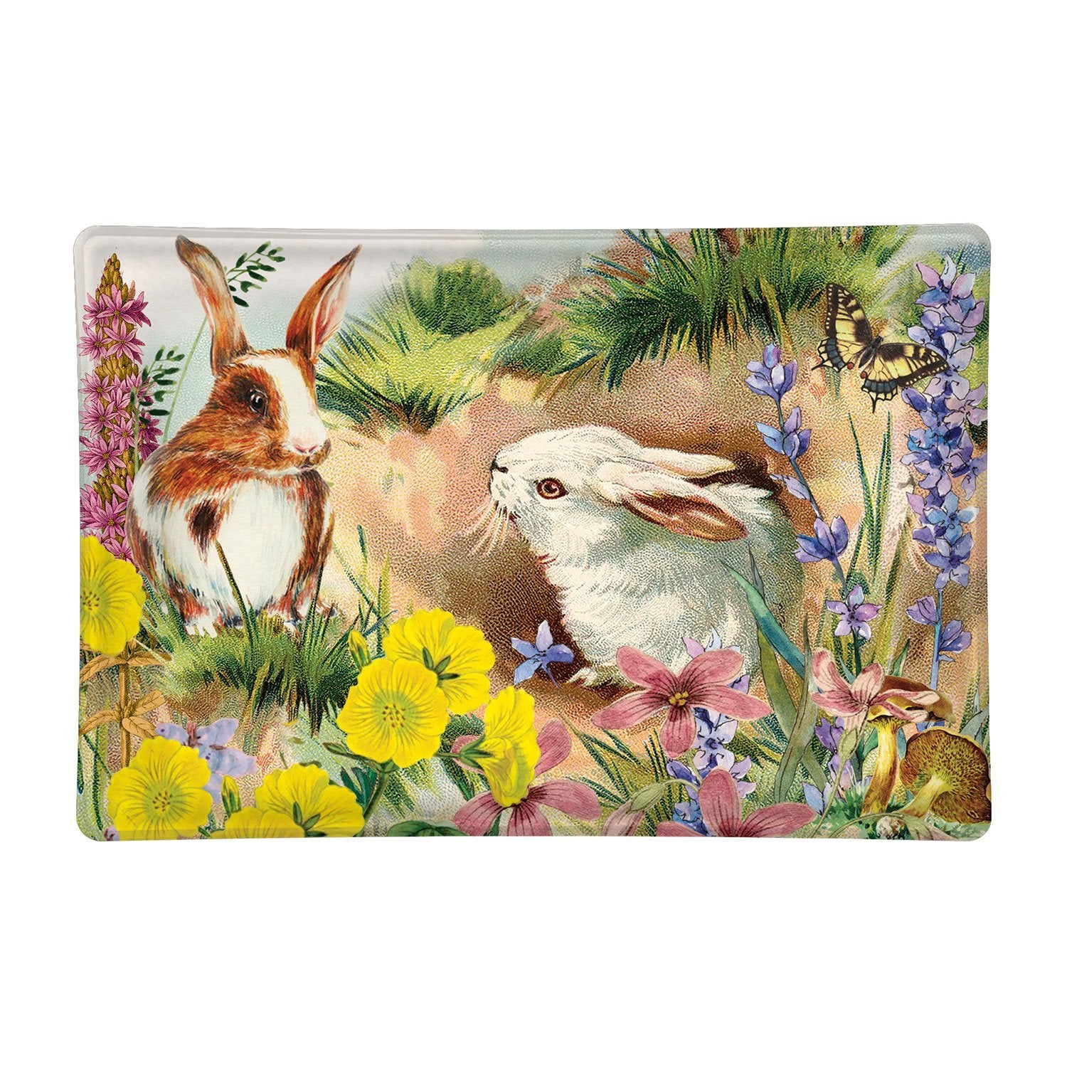 Bunny Hollow Rectangular Glass Soap Dish - Molly's! A Chic and Unique Boutique 