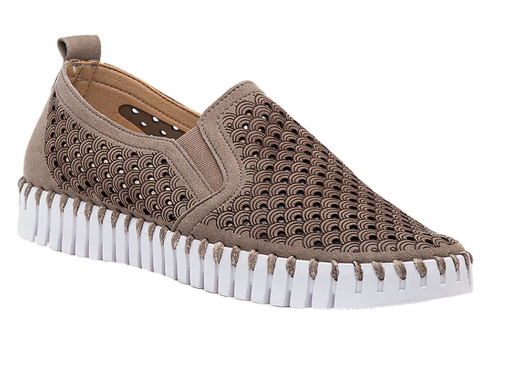 TULIP SLIP ON SHOE - Molly's! A Chic and Unique Boutique 