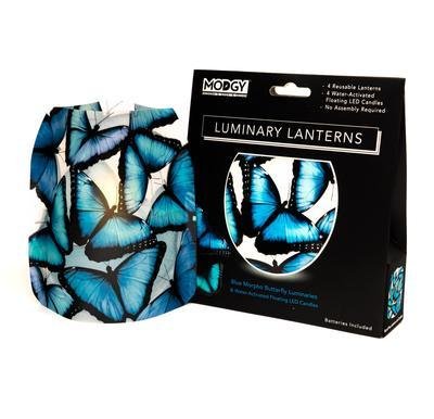BLUE MORPHO LUMINARY - Molly's! A Chic and Unique Boutique 