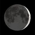 MOON GLOW BRACELET - Molly's! A Chic and Unique Boutique 