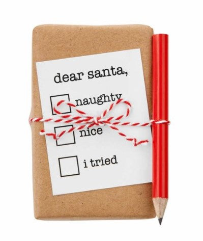 Dear Santa Checklist Christmas Soap - Molly's! A Chic and Unique Boutique 