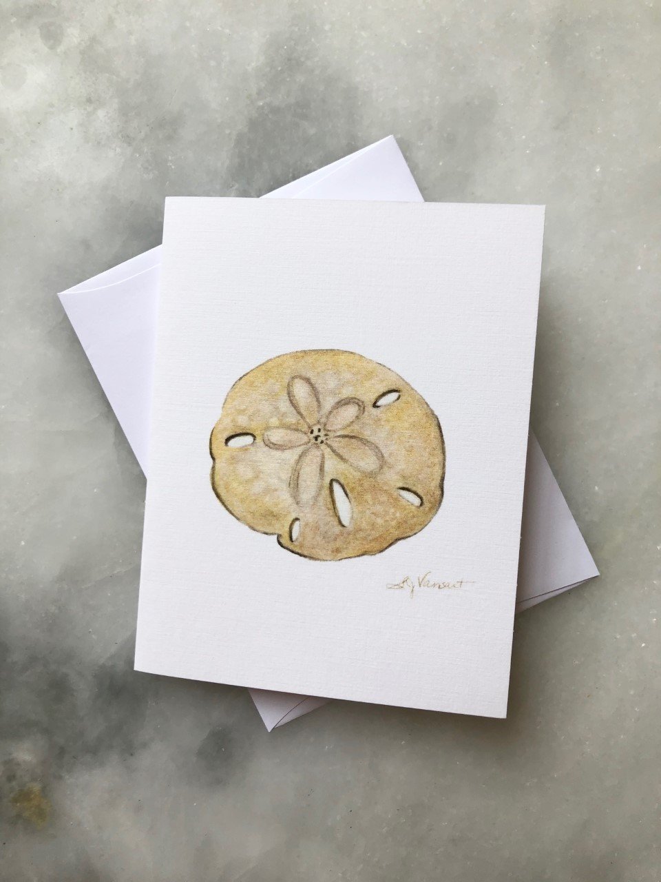 SAND DOLLAR GREETING CARD - Molly's! A Chic and Unique Boutique 