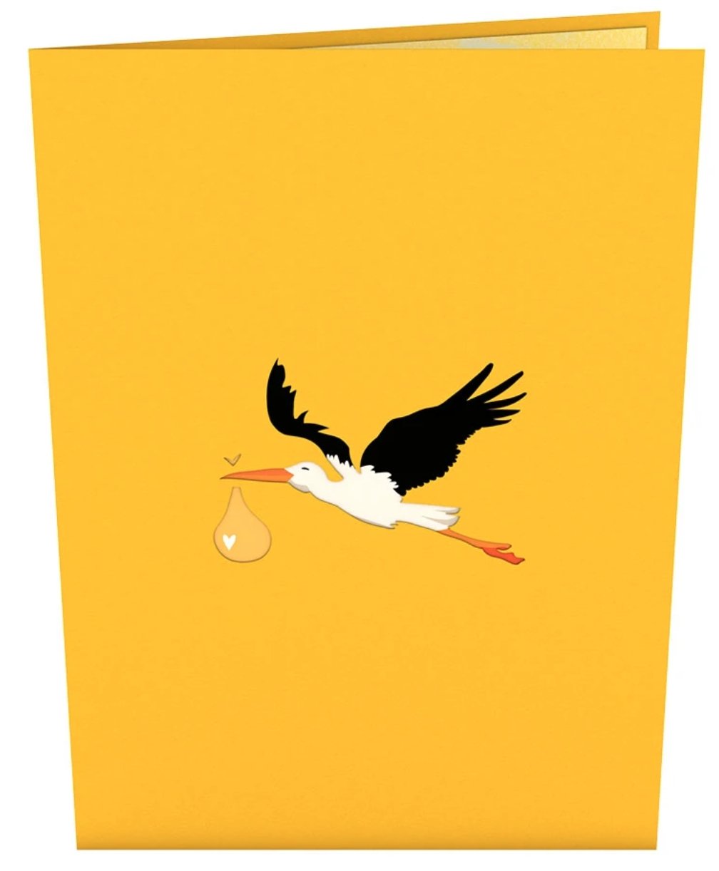 STORK YELLOW CARD-3446 - Molly's! A Chic and Unique Boutique 